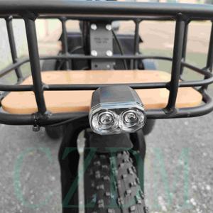 Triciclos eléctricos DOMAIN de 3 ruedas y 500W, la mayoría de triciclos eléctricos de tres ruedas vendidos para carga, 2024 - Product Image 3