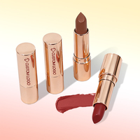 Vente en gros de maquillage, logo personnalisé, gloss à lèvres mat imperméable longue tenue, rose nude brun, label privé, rouge à lèvres végan