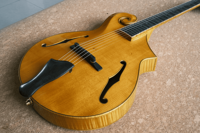 Guitare Jazz Archtop Électrique Faite à la Main Yunzhi, Corps Creux en Érable et Touche en Ébène, Micros H-H Professionnels, Personnalisable