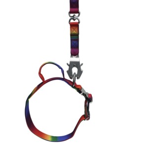 Collier pour chien Ombre coloré de luxe avec accessoires métalliques premium et poignées – Ensemble de colliers pour animaux de compagnie – Fournitures pour animaux - Product Image 5