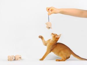 Nuevo Estilo Sostenible <span class=keywords><strong>Catnip</strong></span> gato juguete interactivo algodón peluche ratón juguete para gatos - Product Image 3