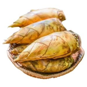 Fujian cina rete <span class=keywords><strong>di</strong></span> conservazione a freddo per la conservazione delle radici <span class=keywords><strong>di</strong></span> verdure fresche <span class=keywords><strong>germogli</strong></span> <span class=keywords><strong>di</strong></span> <span class=keywords><strong>bambù</strong></span> - Product Image 6