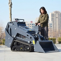 Mini-chargeuse compacte diesel V1100 EPA de Chine pour la construction agricole