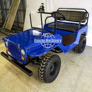 Mini Buggy Todoterreno de Gasolina, 4x4, Cuatro Ruedas, Tipo Jeep, Certificado CE, Batería de Plomo-Ácido, 2/4/6 Asientos, Acero Q235B, Muy Popular - Product Image 2