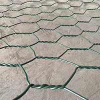 Panier gabion en treillis hexagonal renforcé, galvanisé à chaud et revêtu de PVC, pour la protection contre les inondations et la construction de cages à pierres