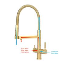 DOGO NEW Design Satin Golden Soda Filter Chiller Water 5 Way Mixer Water Tap AISI 304 SS Kitchen Pull Out 5 Way RO Tap