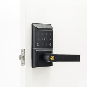 ओम एल्यूमीनियम मिश्र धातु बुद्धिमान स्पर्श स्क्रीन वायरलेस, सहायक कुंजी, पासवर्ड, कुंजी कार्ड, स्मार्ट डोर हैंडल, स्मार्ट डोर हैंडल - Product Image 3