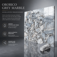 Prix d'une dalle de marbre gris invisible |   Pierre blanche naturelle polie de 18 mm avec des veines de breccia grises prononcées pour les sols et les murs d'hôtels de luxe