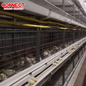 Büyüyen pil yetiştirme için tavuk <span class=keywords><strong>Coop</strong></span> kümes hayvancılığı için komple otomatik hayvancılık hayvan kafes sistemi katmanlı tavuklar yeni - Product Image 4