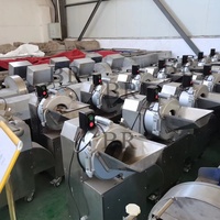 Professionele Groente Fruit Ui Chopper Radijs Kokos Aloë Vera Kubus Mango Komkommer En Chinese Kool Snijmachine
