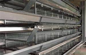 Différents Types de Cages en Batterie pour Poules Pondeuses à Vendre - Product Image 6