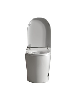 Роскошный современный цельный керамический унитаз с умным биде - Product Image 6