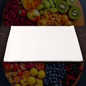 Hot Sale Meat Packaging Single Layer Pad 380*250mm Food Grade Fresh Water Absorbent Pad - Product Image 1