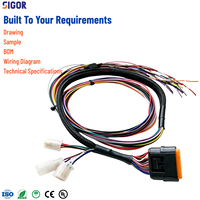 Harnais de câblage électronique personnalisé avec isolation en nylon pour équipements automobiles, motocycles, industriels, médicaux et électriques - OEM/ODM