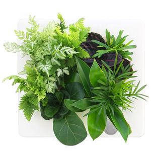 Décoration murale moderne pour la maison, pot de fleurs suspendu en plastique, décorations murales, jardinière pour plantes succulentes, pour l'intérieur - Product Image 2