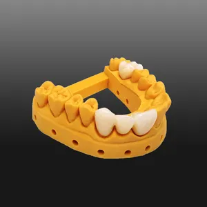Acme Dental Model 3d Printing Resin Assured Denture Base Teeth 405nm Uv Curing For Lcd DLP 3d Printer