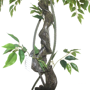 Office fa yüksek kalite 120cm yapay Banyan ağacı <span class=keywords><strong>Ficus</strong></span> <span class=keywords><strong>Microcarpa</strong></span> ofis ve dış mekan kullanımı için gerçek yaprakları ile - Product Image 3