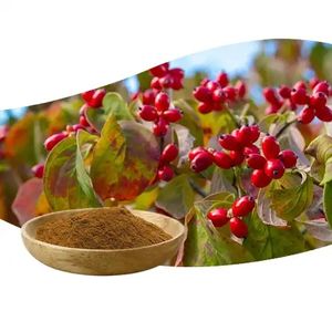 Fornecimento de fábrica de extrato de frutas de Dogwood em pó <span class=keywords><strong>100%</strong></span> orgânico de qualidade alimentar <span class=keywords><strong>100%</strong></span> <span class=keywords><strong>natural</strong></span> - Product Image 2