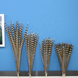 Vente directe d'usine Reeves plumes de faisan grand 35-40CM carnaval casque artisanat motif brut <span class=keywords><strong>Table</strong></span> déco Costume - Product Image 2