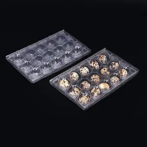 Bandeja de ovos de codorna transparente de 24 células, caixa de embalagem de plástico descartável personalizada de fábrica de alta qualidade para venda