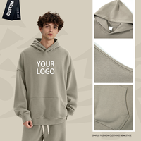 Sweat à capuche décontracté pour homme en coton épais 430G, personnalisable avec logo, fabricant de vêtements, pull-over grande taille, sweat-shirt unisexe vierge