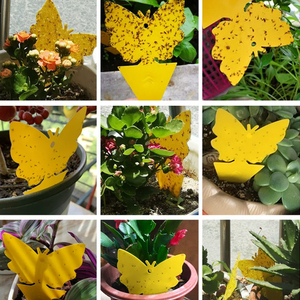 Trampa Adhesiva para Insectos de Jardín con Diseño de Mariposa, Ecológica e Impermeable - Product Image 6