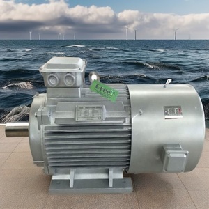 Generador Magnético de 10kw, Sistema Hidroeléctrico de Accionamiento Directo PMG, Elimina la Caja de Cambios para Mayor Fiabilidad - Product Image 2