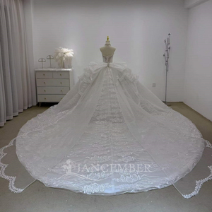 Robe de mariée élégante Lsjj145 en ivoire, style princesse, avec corsage perlé, broderie florale et traîne en tulle superposé, Jancember - Product Image 6