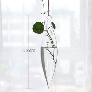 Vase en verre transparent suspendu créatif, petit vase suspendu pour la culture intérieure, décoration de la maison, bouteille pour plantes - Product Image 6
