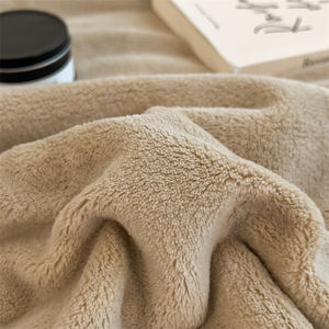 Selimut bulu kura-kura emas berat badan tinggi kustom selimut penutup beludru susu dua sisi tebal multifungsi Kelas a - Product Image 3