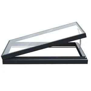 Product Development Original Supplier Manufacturer Wholesale Skylight Window