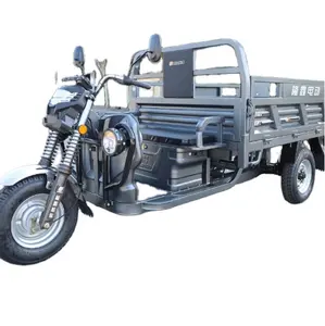 Best Sale 3 Wheel 1000W Electric Cargo Tricycle