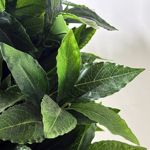 Bán Buôn Nhân Tạo Cây Nguyệt Quế Giả Chậu Cây Màu Xanh Lá Cây Cây Nhân Tạo Cho Văn Phòng Trong Nhà Trang Trí Nội Thất - Product Image 2