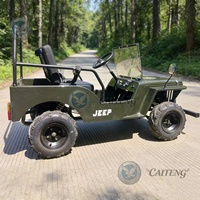 Voitures d'occasion Caiteng, mini-jeep électrique à 2 places, homologué pour la route, buggy, 110cc, 150cc, transmission automatique à essence, Dune