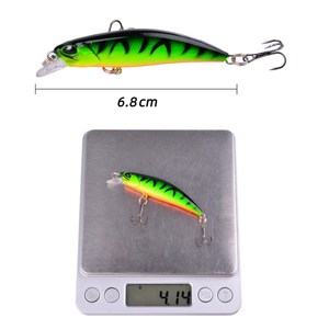 Best Carp Lures for 2025 Fishing