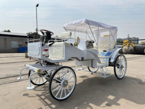 Veicolo Elettrico per Giro Turistico, Carrozza a Bassa Velocità Senza Cavalli per Trasporto Passeggeri / Carrozza a Cavalli Omologata CE - Product Image 6