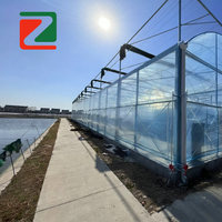 Serre en verre Zhuotai avec grandes serres connectées, Chine