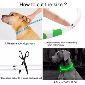 애완 동물 Usb 충전식 큰 큰 빛 개인 제조 실리콘 방수 Collares 사용자 정의 <span class=keywords><strong>Led</strong></span> 개 목걸이 - Product Image 5
