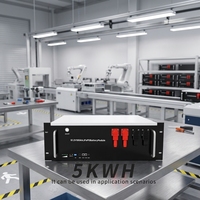 Batería LiFePO4 de 51.2V 100Ah para Montaje en Rack, Envío Global, OEM, 8000 Ciclos, para Almacenamiento de Energía Solar Doméstica Fuera de la Red