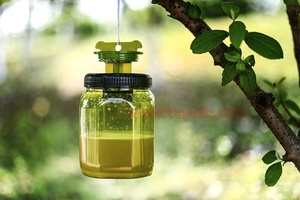 Piège à mouches suspendu de grande taille pour jardin extérieur, outil de capture d'insectes et de mouches domestiques - Product Image 2
