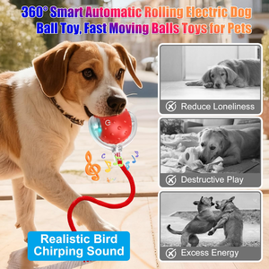 Balle interactive électrique intelligente pour chat, avec appels d'oiseaux, jouet roulant pour animaux de compagnie, jouets de mouvement interactifs pour animaux, en promotion - Product Image 3