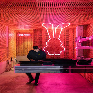 Rebow 5% OFF Petit Mini Grand OEM Personnalisé Alimenté par Batterie Intérieur Extérieur Publicité Logo LED Éclairage Lettres Enseigne Néon Boutique - Product Image 5