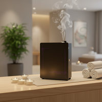 Diffuseur d'arômes électrique 250 ml, diffuseur d'huiles essentielles mural pour le bureau, la boutique, la maison, appareil électroménager pour l'hygiène