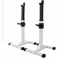 Rack de musculation commercial pliable en acier moderne pour presse à banc et squats