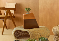 Urne funéraire en bois massif avec pot en céramique et joint magnétique pour cendres humaines et d'animaux de compagnie, artisanat en bois, urne d'intérieur