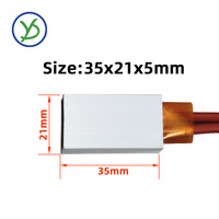 35*21mm 12V 24V 220V Élément Chauffant PTC Chauffe Thermostat Plaque Chauffante PTC Chauffe Avec Coque En Aluminium Chaleur Plaque De Résistance