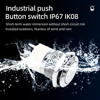 Interrupteur à bouton-poussoir en acier inoxydable HS 16 mm, étanche IP67, IK08, tête plate, sans lumière, momentané, à verrouillage, 1NO, 220V