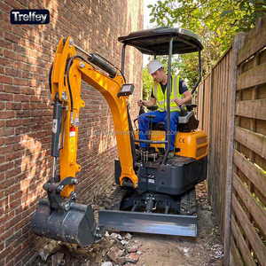 Mini-excavatrice sur chenilles de 2 tonnes, certifiée CE EPA Euro 5, avec outils de nivellement, ripper, <span class=keywords><strong>scarificateur</strong></span>, pointe de tige et plaque compacteuse - Product Image 2