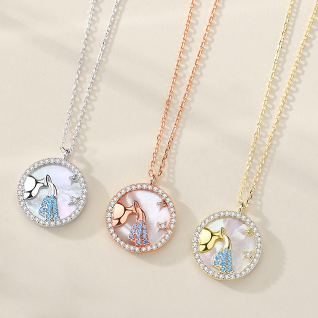 Wholesale Top Sale Sterling Symbol Pendant Round Silver Zodiac Medallinoins Necklace Sign Zodiac Necklace