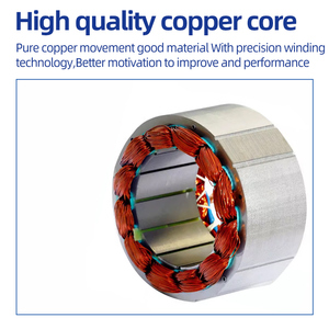 <strong>800W</strong> 48V 60V Dc Brushless square Wave <strong>Motor</strong> Engines Rear <strong>Axle</strong> <strong>Differential</strong> Tricycle E Cargo Bike Motorcycle BLDC <strong>Motor</strong> - Product Image 5
